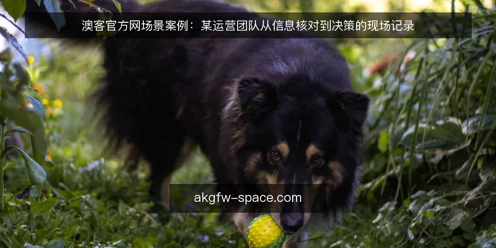 澳客官方网场景案例:某运营团队从信息核对到决策的现场记录 — 现场信号:哪些信息值得盯 配图