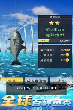 使用技巧